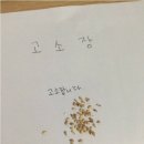 종로-종로-종로-종-216 | 을지로3가역 술집ㅣ감성술집 우주ㅣ우삼겹두부김치, 백종원 추천 술 미상25 하이볼 후기