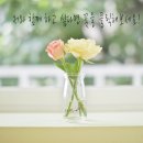 하레베이킹
