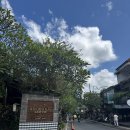 아바치킨천국 | 발리 우붓 여행 1일차 - 아누마나 호텔, 트로피컬 뷰 카페, 몽키 포레스트, 투키스 코코넛 숍, 발리스타...