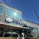 드림애견학교 이미지