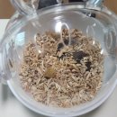 와우펫앤쥬 김해점 이미지