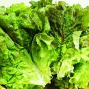 맛이야기 이미지