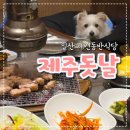제주돗날 | 강아지와 개별룸에서 제주흑돼지 먹기, 일산 제주돗날 먹고온 후기
