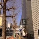후쿠오카 코모레비 스냅 후기📸후쿠오카 벚꽃 스냅🌸🌸🌸
