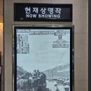 1980 | 2025고한에서 본 영화 1980사북 후기