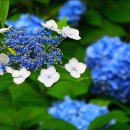 덕풍황토방 이미지