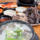 아우내농협 | 병천아우내 충남집순대 솔직후기 , 웨이팅 주차정보