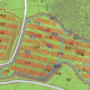 번창 태양광발전소 이미지