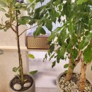 해솔정신건강의학과의원 이미지