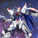 머슬프리덤 이미지