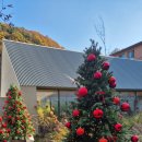 소래도서관 | 대구 칠곡 대형 베이커리 카페 소소래 건강빵👍 주차장 넓은 곳