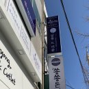 살롱드비숑 비손비격