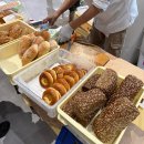 종로-신교-종로-신-201 | 12월 2주(어쩌면해피엔딩, 아옳이쿠션, 르네상스에서 인상주의까지, 조앤도슨 광화문, 한복입은남자...