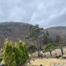 해랑나예 이미지