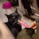 동네치킨 이미지