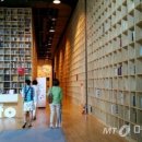 지혜의 숲 이미지