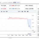 (주)에이치비바이오 이미지