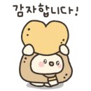 시로(shiro) 이미지