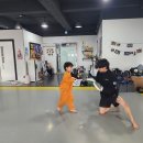그레이시주짓수 - 종로구 종로 19 | 검단MMA 검단 그레이시바하 주짓수 후기