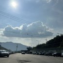 일일구매점