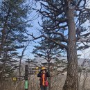 소똥령마을 이미지