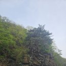 DMZ 평화의 길 24코스(국제평화아트파크 ~ 종점상회) 걷기 - 2025.04.30/05.01