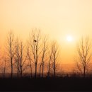 서후초교 이미지