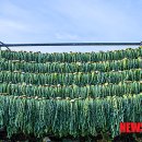 도산무청영농조합법인 이미지