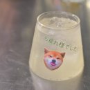 류우즈