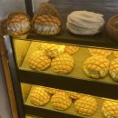 필더빌커피바 - 72817 | 필더빌커피바