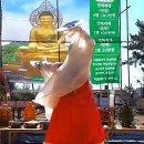 대불금강 이미지