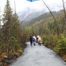 (주)더주노 이미지