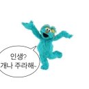 (주)한원모바일 | 대만 여행 준비 편