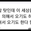 Re: ﻿ 염원에 의해서 오기도하지만 붙 들려서 온다 이미지