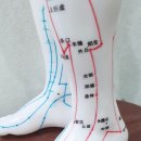 곤륜한의원 이미지