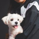 제이아이엔스튜디오