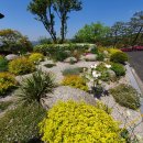 스카이밸리골프장 이미지