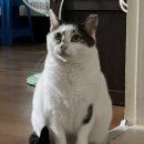 오렌즈 약수점 | 2025년 10월의 사진첩털기 후루루루룩