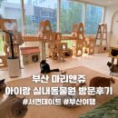 베스트셀러 내 손 안에 넣기 | 부산 마리앤쥬 실내동물원 후기｜아이랑 부산 가볼만한곳 서면 실내데이트 추천