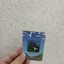 내트럭하우스 순천사업소 | 너무 행복했던 무등산국립공원 태교여행 ⛰️