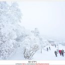 겨울왕국 태백산에서의 하룻밤 (14.2.8).. 이미지