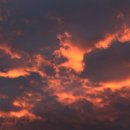 귤익는 마을 이미지