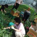 용일농장 이미지