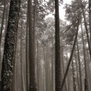 설산농장 이미지