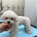 미용사(중급) 이미지