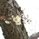 (주)누림 이미지