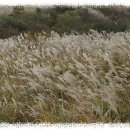 풍전아파트 뒤 이미지