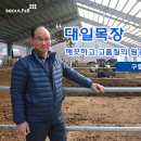 대일목장 이미지