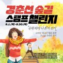 투어챌린지
