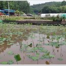 천명농장 이미지